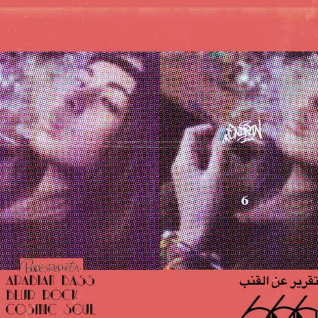 NO WASTE ALL DAYS cover art