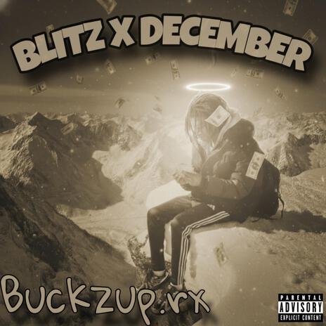 Never Had cover art