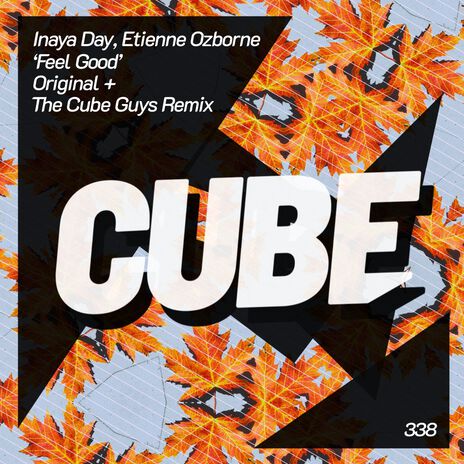 Feel Good (Radio Edit) ft. Etienne Ozborne cover art