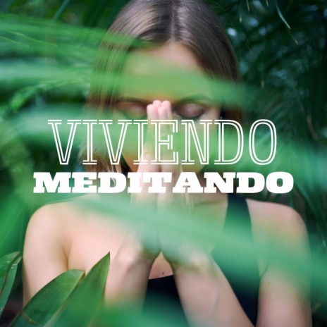 Arte Meditativa cover art
