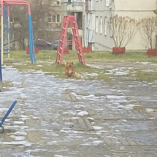 Простите за внимание!