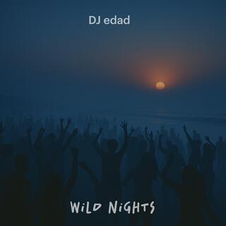 Wild Nights cover art
