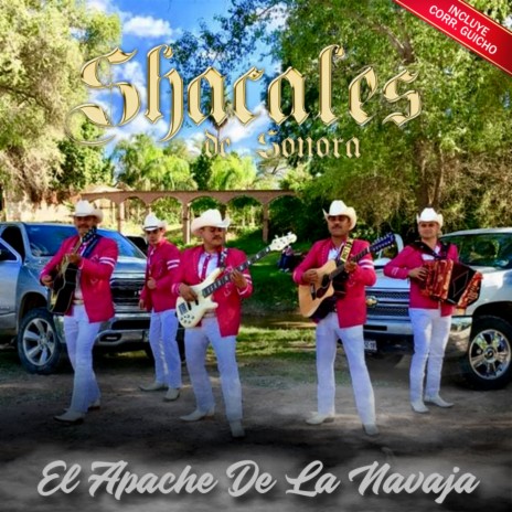 El Compa Rodelo cover art