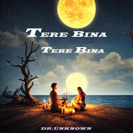 TERE BINA TERE BINA cover art