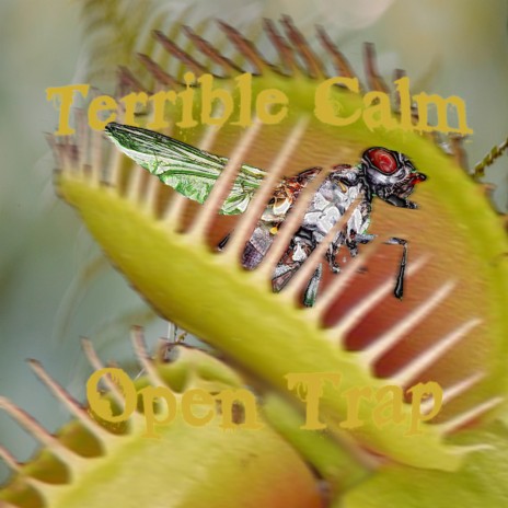 Open Trap (Instrumental) cover art