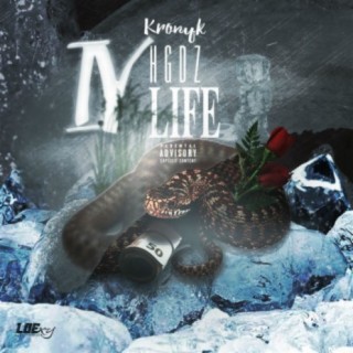 Kronyk