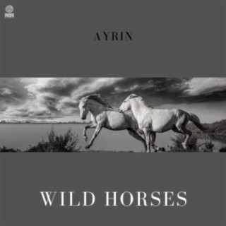 Wild horses (Piano) cover art