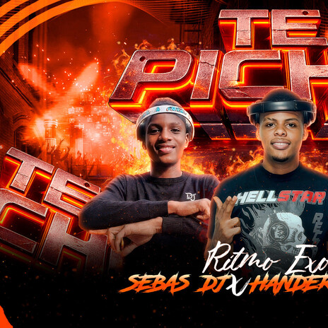 TE PICHO TODA (ritmo exotico) ft. ALOFOKING & SEBAS DJ cover art