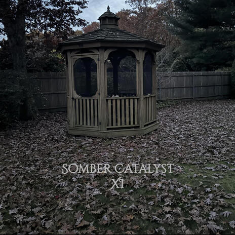 Now You Are Boundless cover art