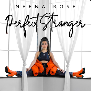 Perfect Stranger cover art