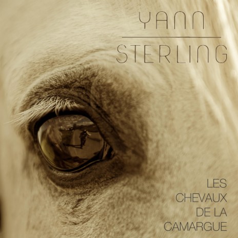 Les chevaux de la Camargue