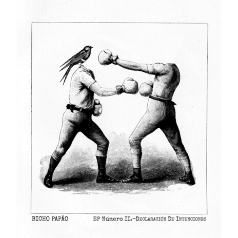 Declaración de Intenciones cover art
