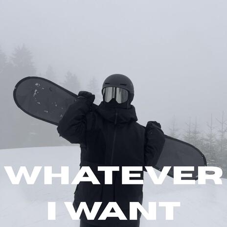 I'm no good cover art