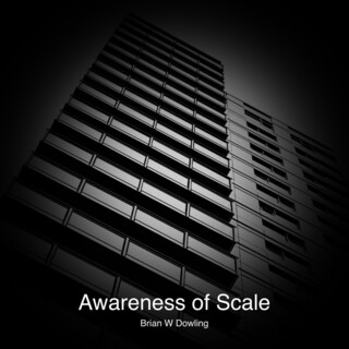 Awareness of Scale