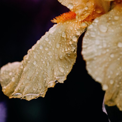 Unbroken (rain version) cover art