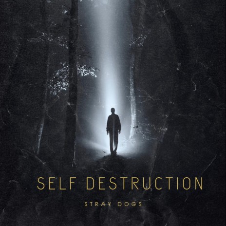 Self Destruction cover art