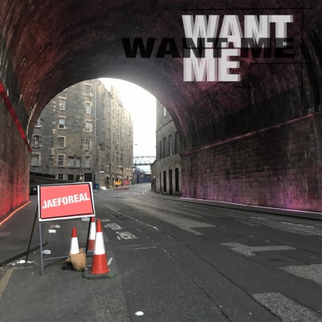 Want Me cover art