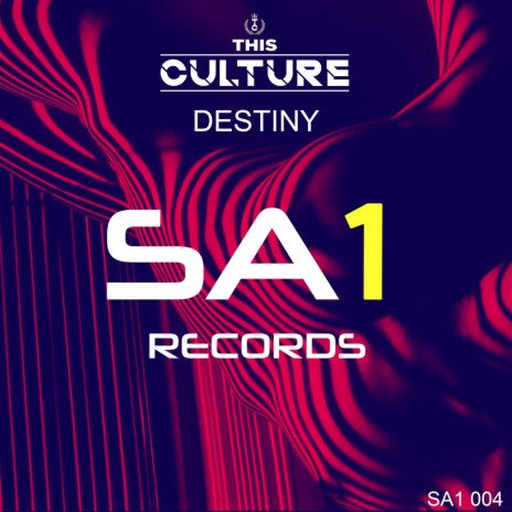 Destiny (Edit) cover art