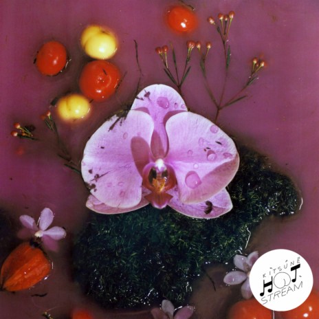 Loud and Clear cover art
