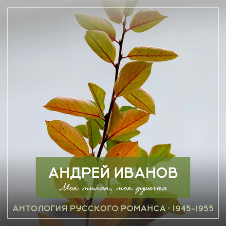 Дитя, как цветок ты прекрасна cover art