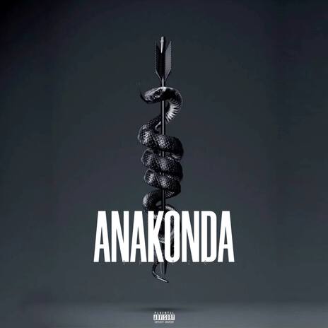 ANAKONDA cover art