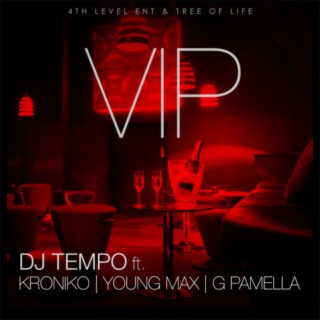 VIP ft. Bizarro Bizz, Young Max & G' Pamella cover art