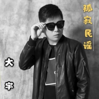 孤寂民谣 cover art