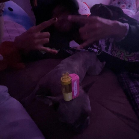 poker pt. 3 (2026) cover art