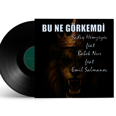 Bu Ne Görkemdi ft. Babek Nur & Emil Salmanov cover art