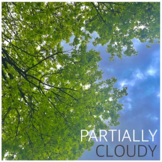 Partially Cloudy