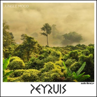Peyruis