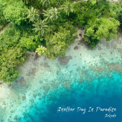 Another Day in Paradise (Afro House) cover art