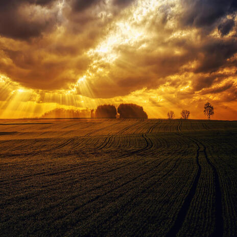Rays of gold