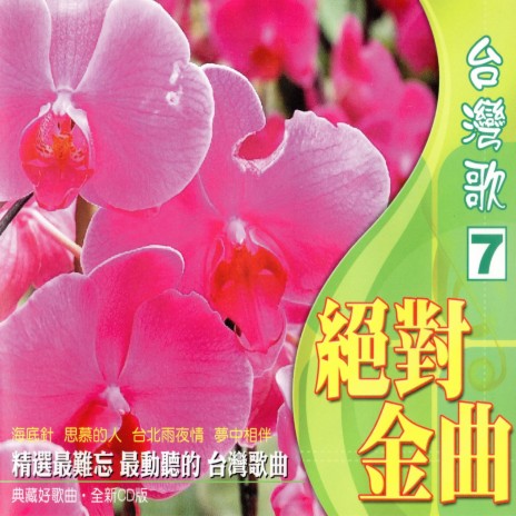 情歌唱乎誰人聽 cover art