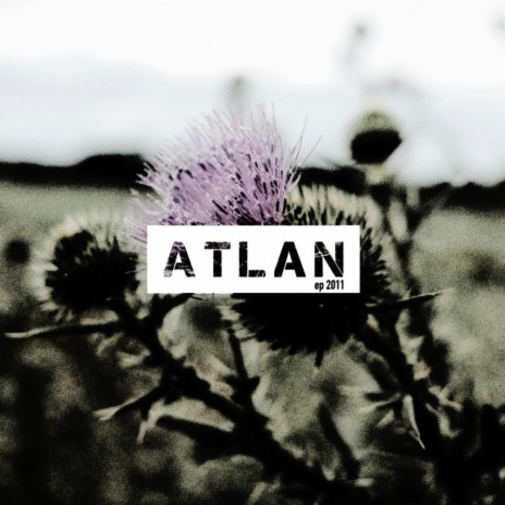 Platzwart cover art