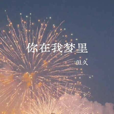 你在我梦里 (Remix) cover art