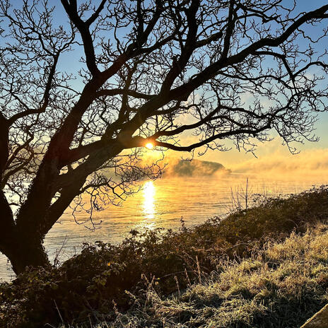 Morning Impression (Radio Edit) cover art
