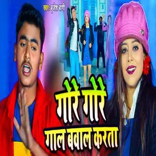 Gore Gore Gal Bawal Karta cover art