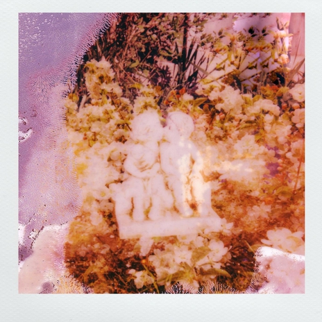 GOLD cover art