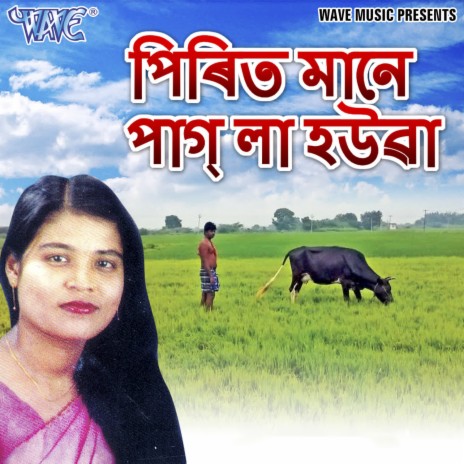 Moi Baudiya Gaan Gai Re ft. Prasnjeet Sarkar cover art