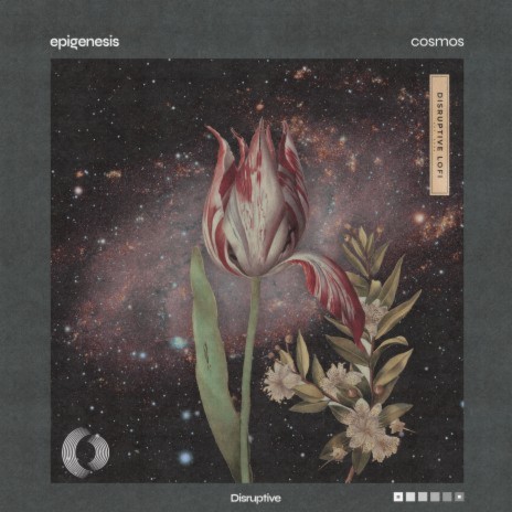 Abiosis ft. Disruptive LoFi cover art