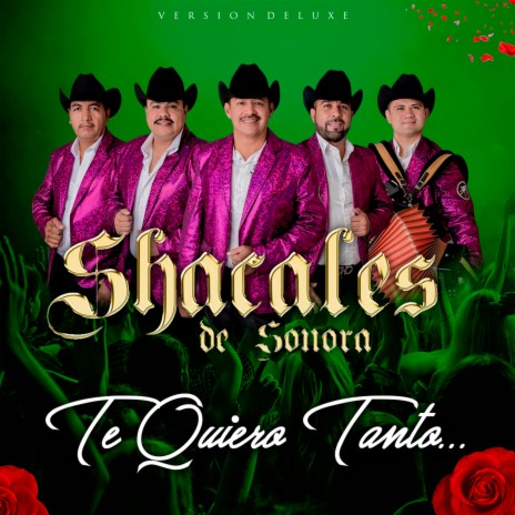 Linda Princesa cover art