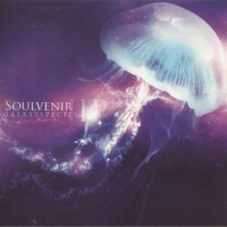 Soulvenir