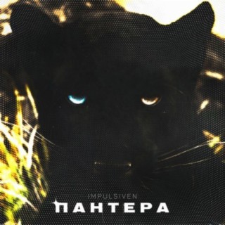 Пантера cover art