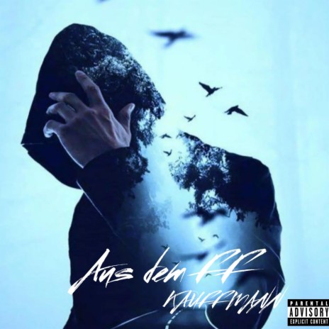 Aus dem FF cover art