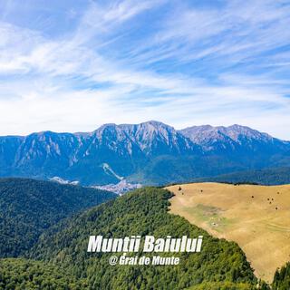Munții Baiului