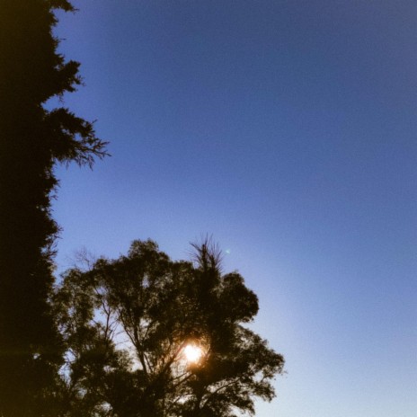 Hide And Seek cover art