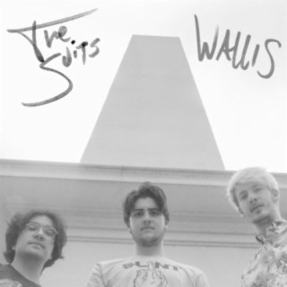 The Suits