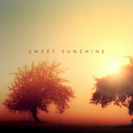 Sweet Sunshine ft. Griffin Konkler cover art