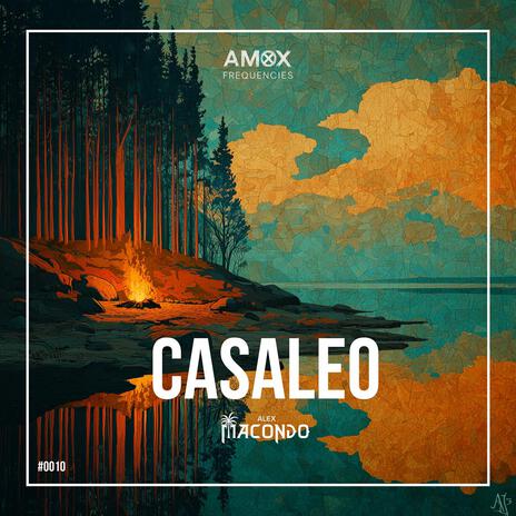 Casaleo (Radio Edit) cover art